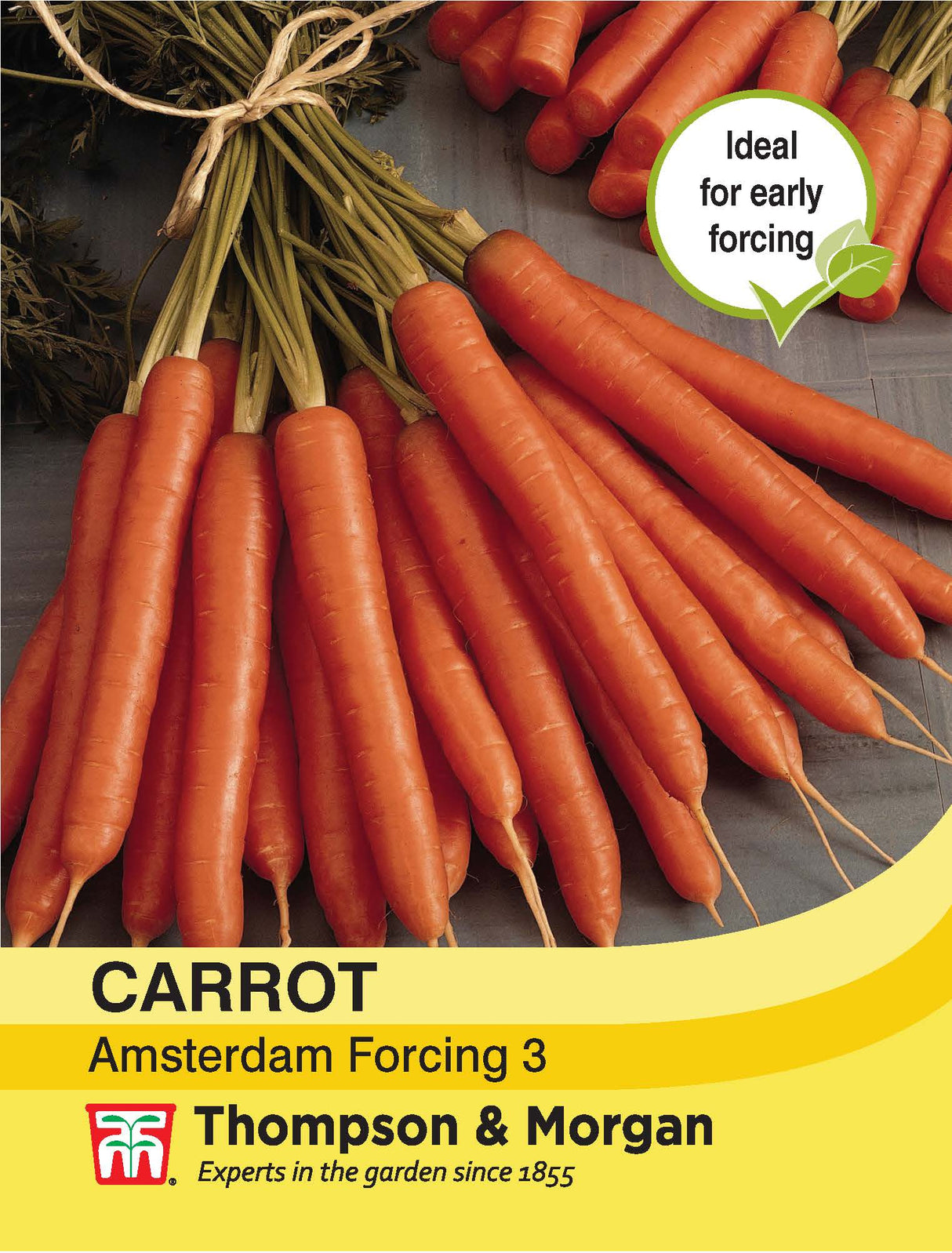 Thompson & Morgan - Carrot Amsterdam Forcing 3 Seeds
