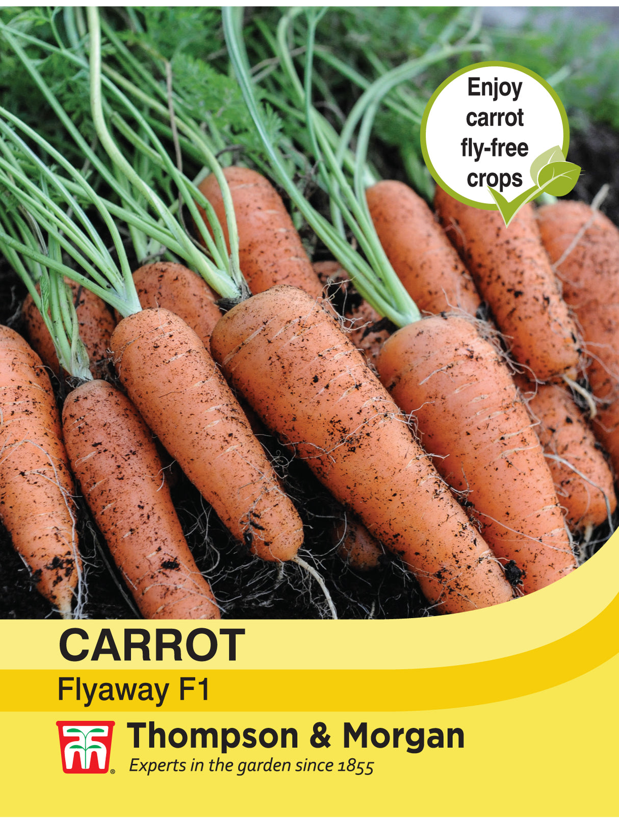 Thompson & Morgan - Carrot Fly Away F1 Hybrid Seed