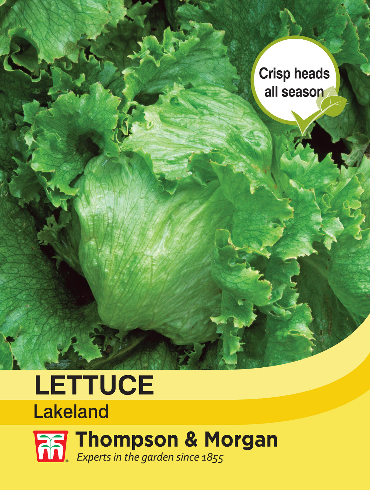 Thompson & Morgan - Lettuce Lakeland Seeds