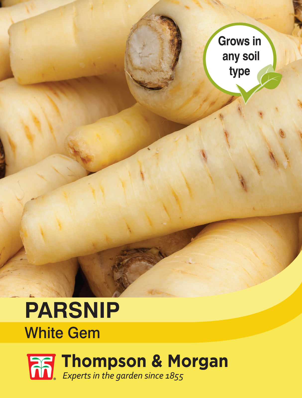 Thompson & Morgan - Parsnip White Gem Seeds