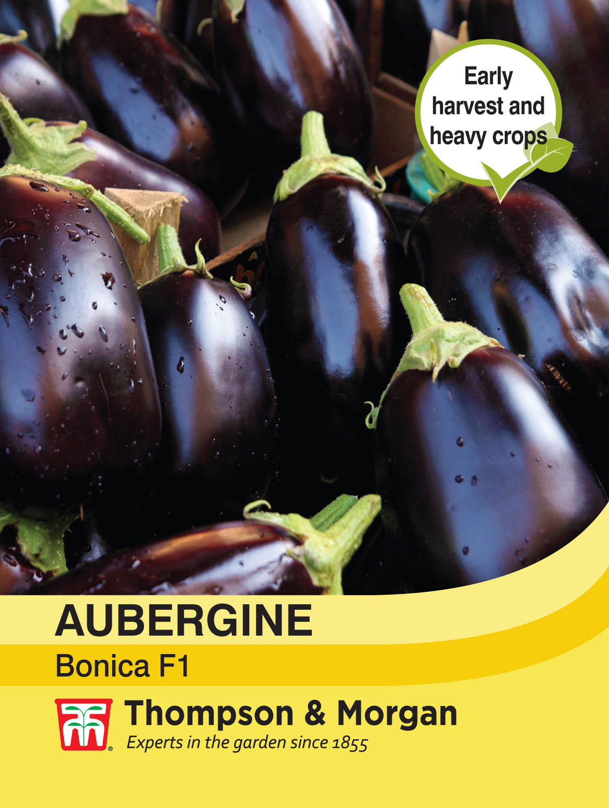 Thompson & Morgan - Aubergine Bonica Seeds