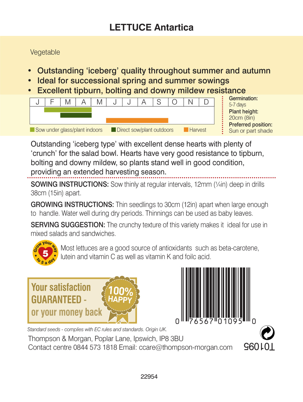 Thompson & Morgan - Lettuce Antartica Seeds