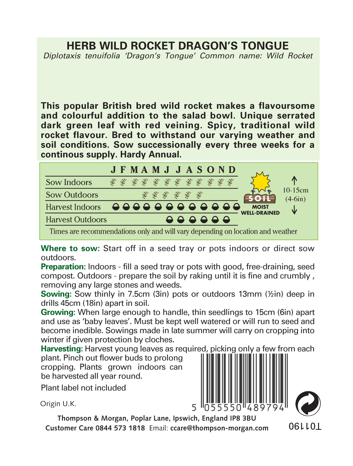 Thompson & Morgan - Herb Rocket Dragons Tongue Seeds