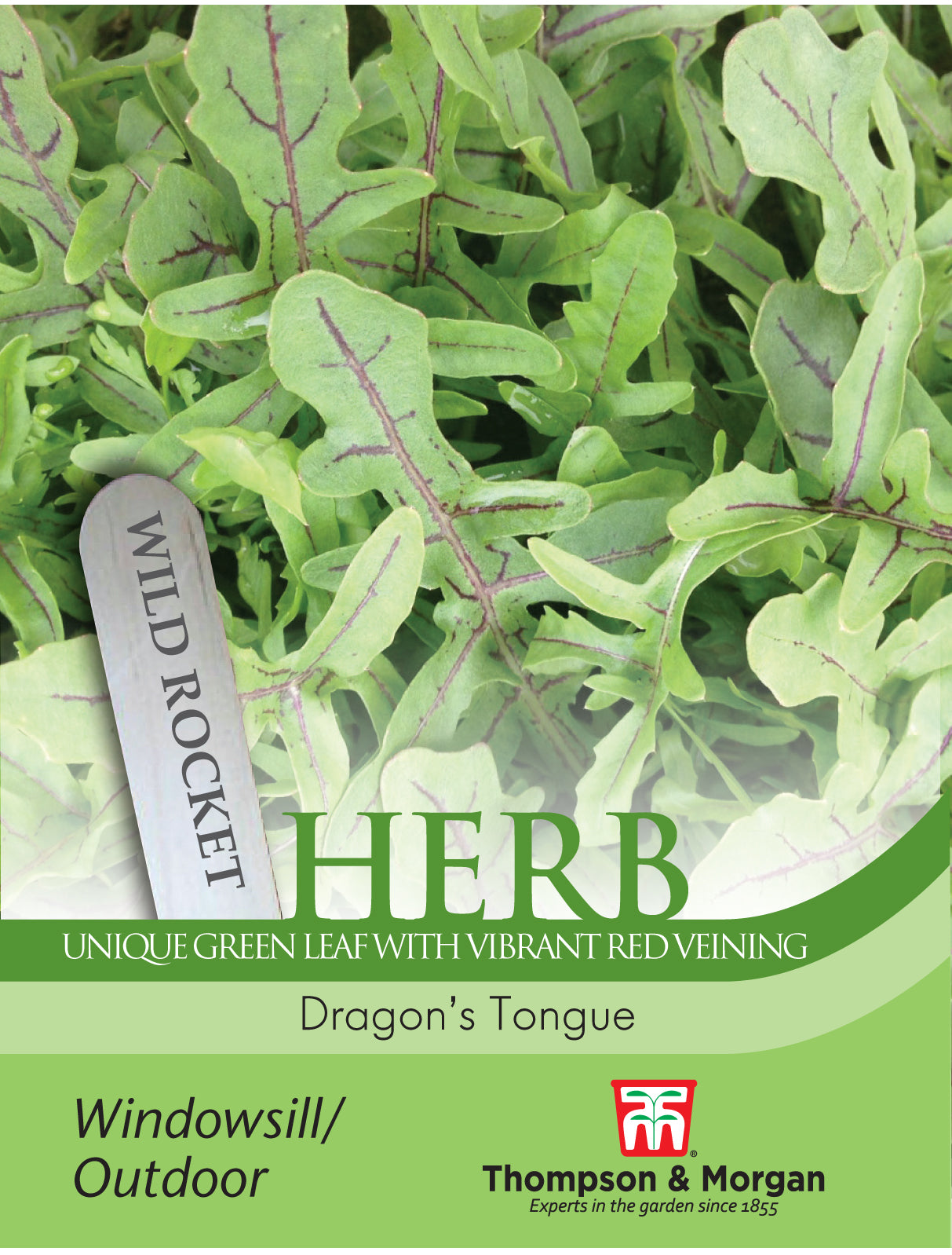Thompson & Morgan - Herb Rocket Dragons Tongue Seeds