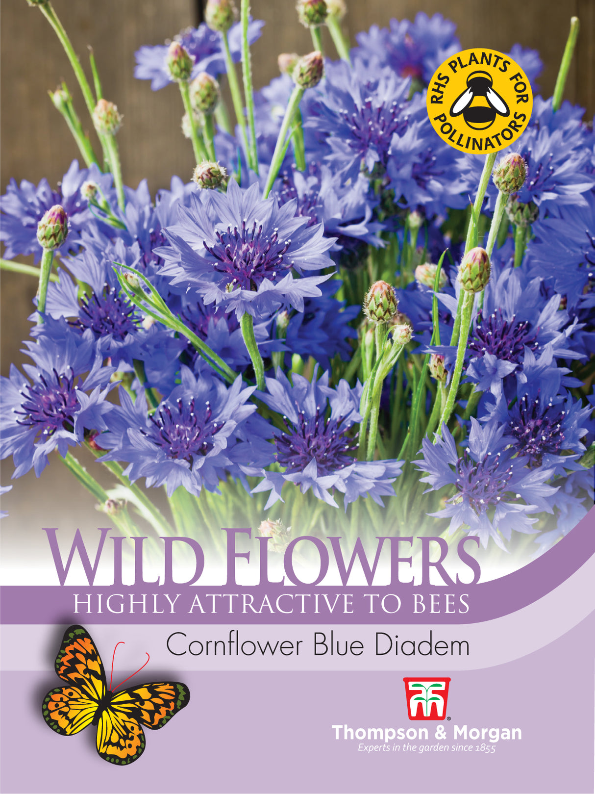 Thompson & Morgan - Wild Flower Cornflower Blue Diadem Seed