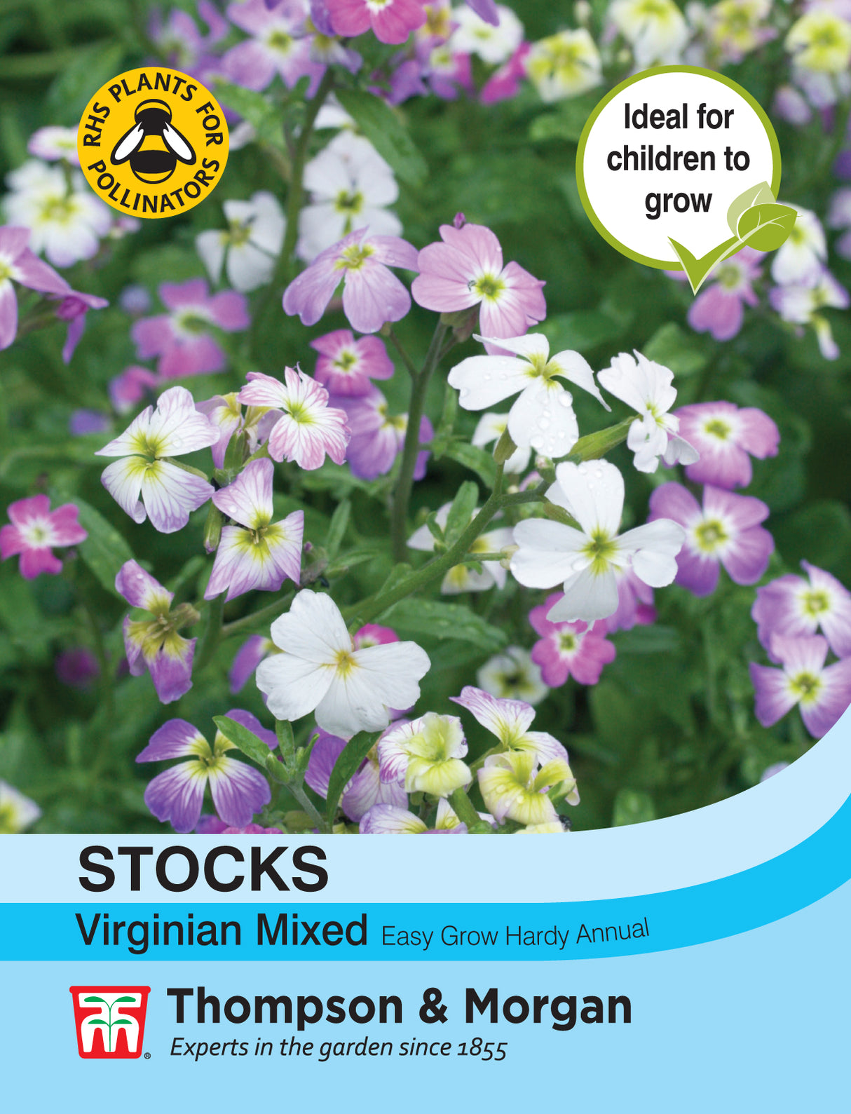 Thompson & Morgan - Stocks Virginia Mixed Seeds