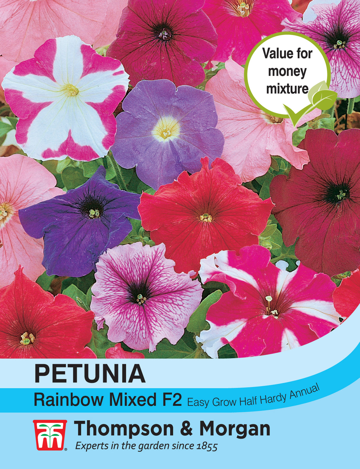 Thompson & Morgan - Petunia Rainbow Mixed F2 Hybrid Seeds