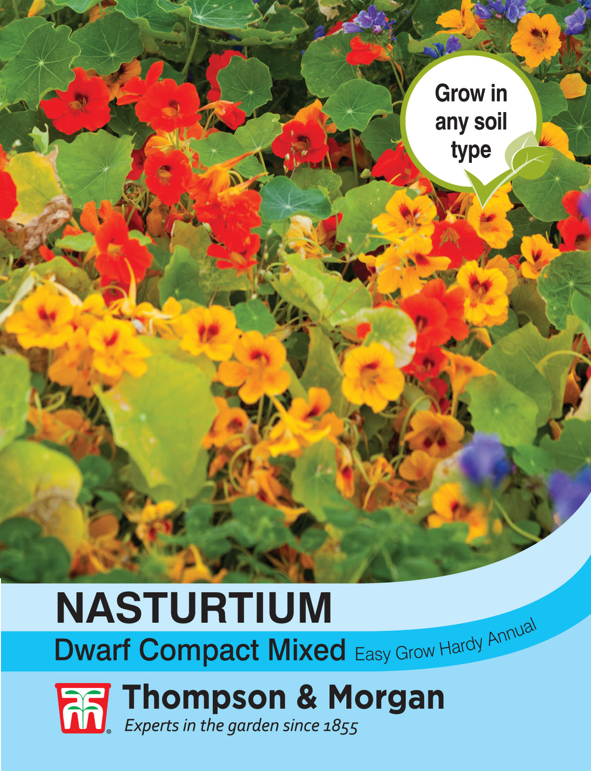 Thompson & Morgan - Nasturtium Dwarf Compact Mixed Seeds