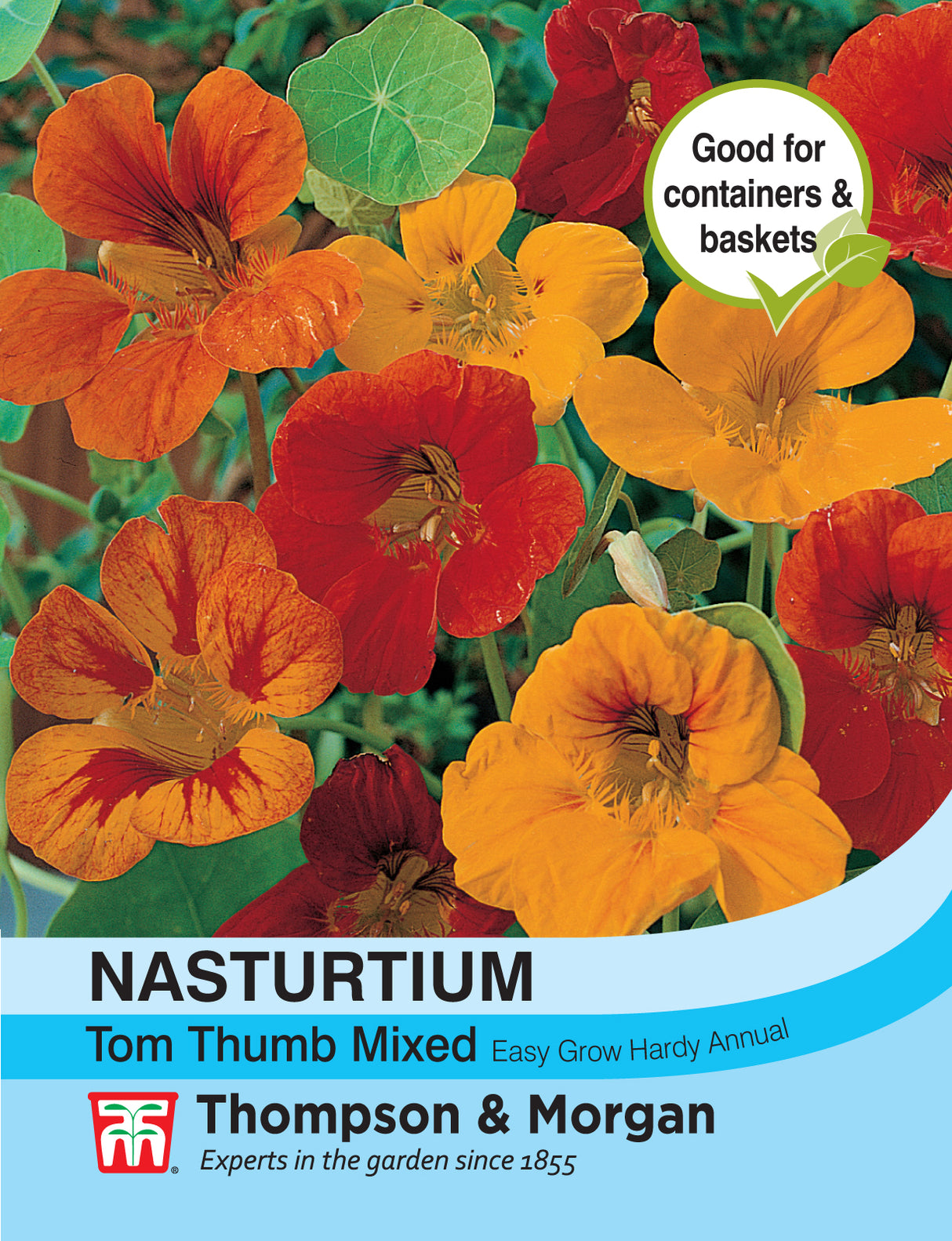 Thompson & Morgan - Nasturtium Tom Thumb Seeds