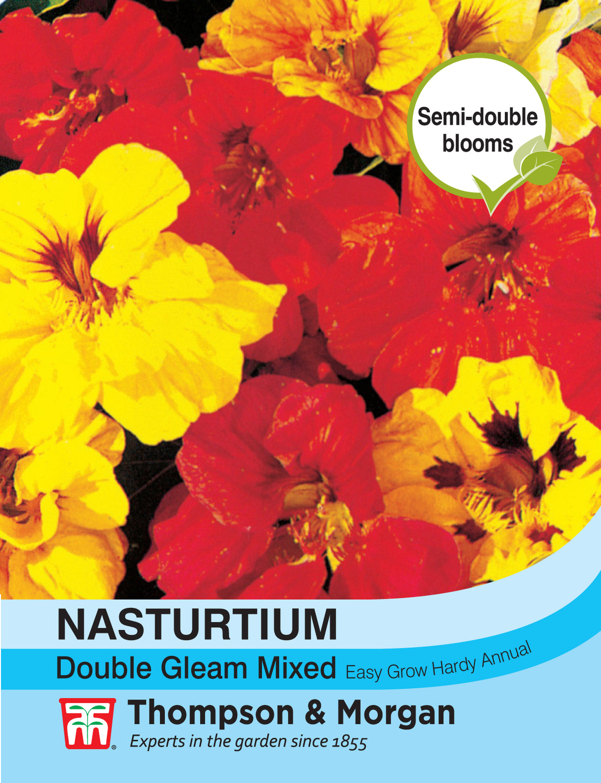 Thompson & Morgan - Nasturtium Double Gleam Mixed Seeds