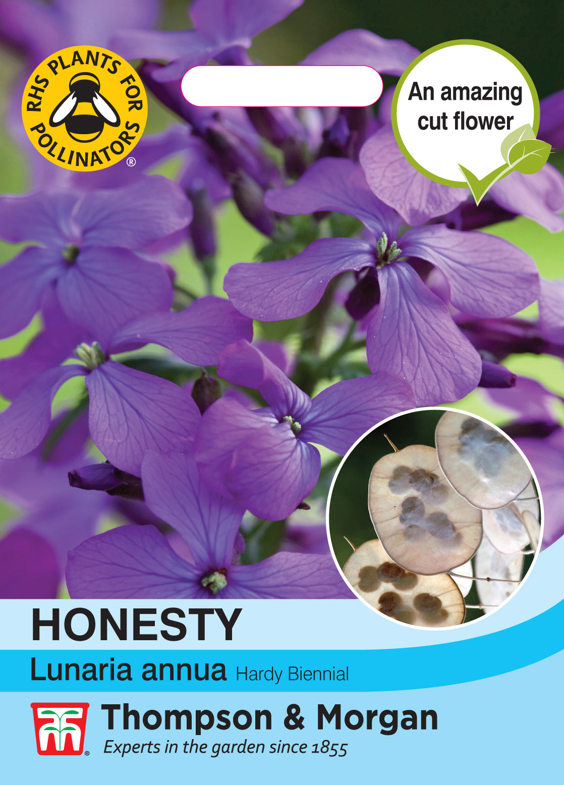 Thompson & Morgan - Honesty (Lunaria or Silver Dollar) Seeds