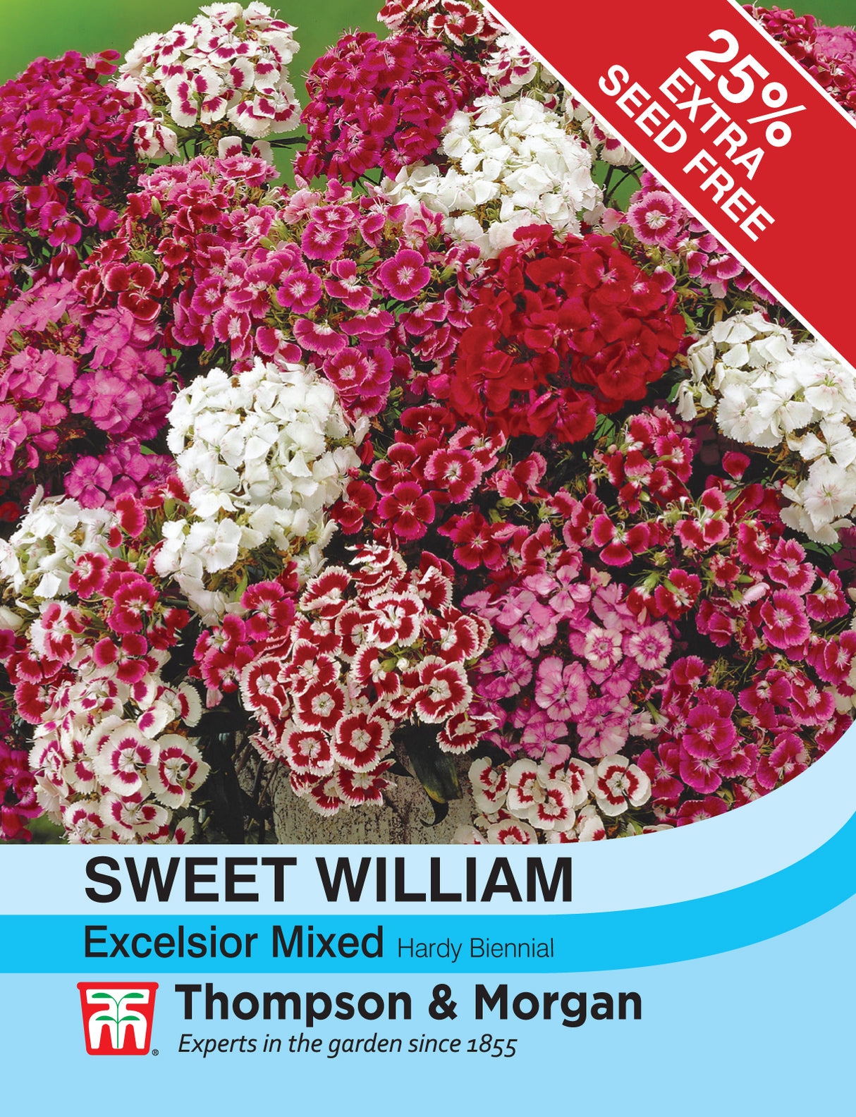 Thompson & Morgan - Sweet William Excelsior Mixed Seeds