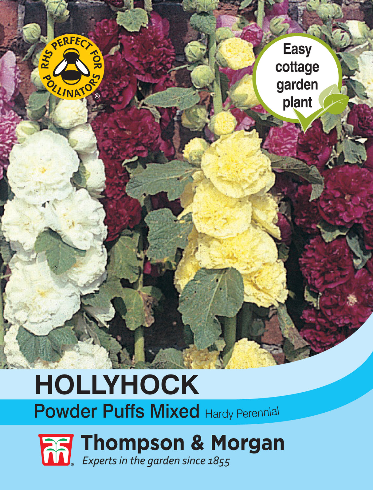 Thompson & Morgan - Hollyhock Powder Puffs Mixed Seeds
