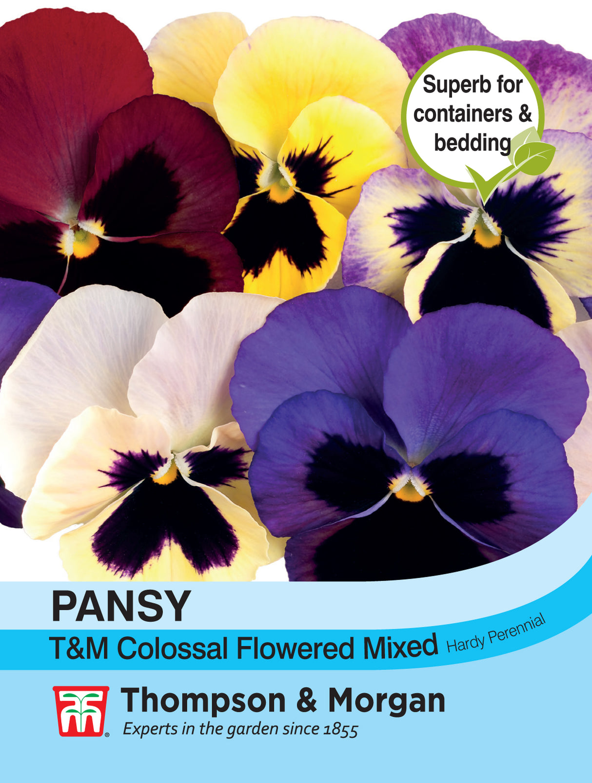 Thompson & Morgan - Pansy T&M Colossal Flowered Mixed Seeds