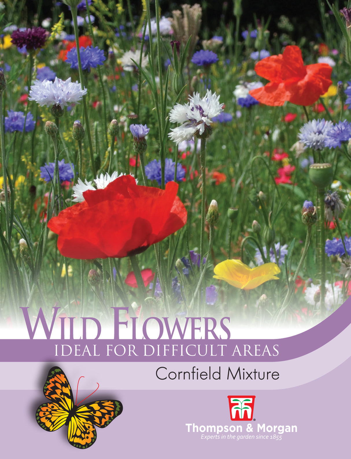 Thompson & Morgan - Wild Flower Cornfield Mixture Seeds