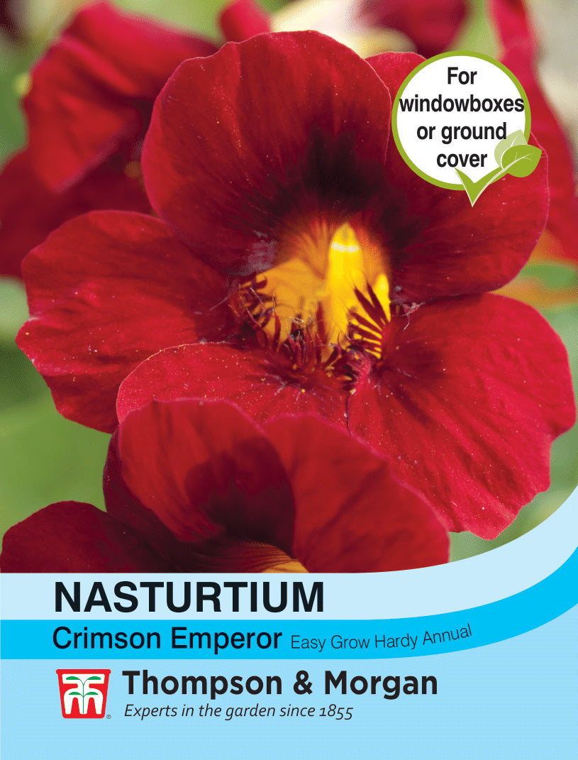Thompson & Morgan - Nasturtium Crimson Emperor Seeds