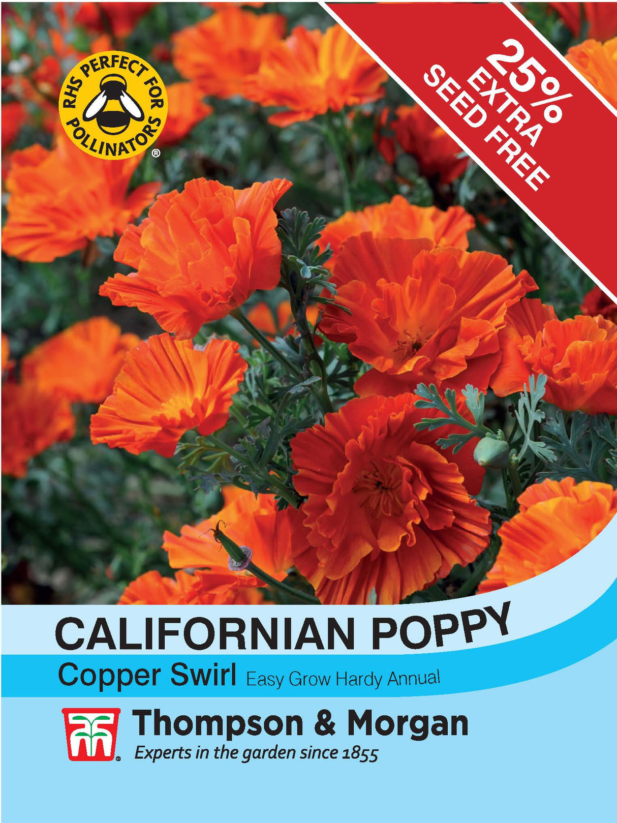 Thompson & Morgan - Californian Poppy Copper Swirl Seeds