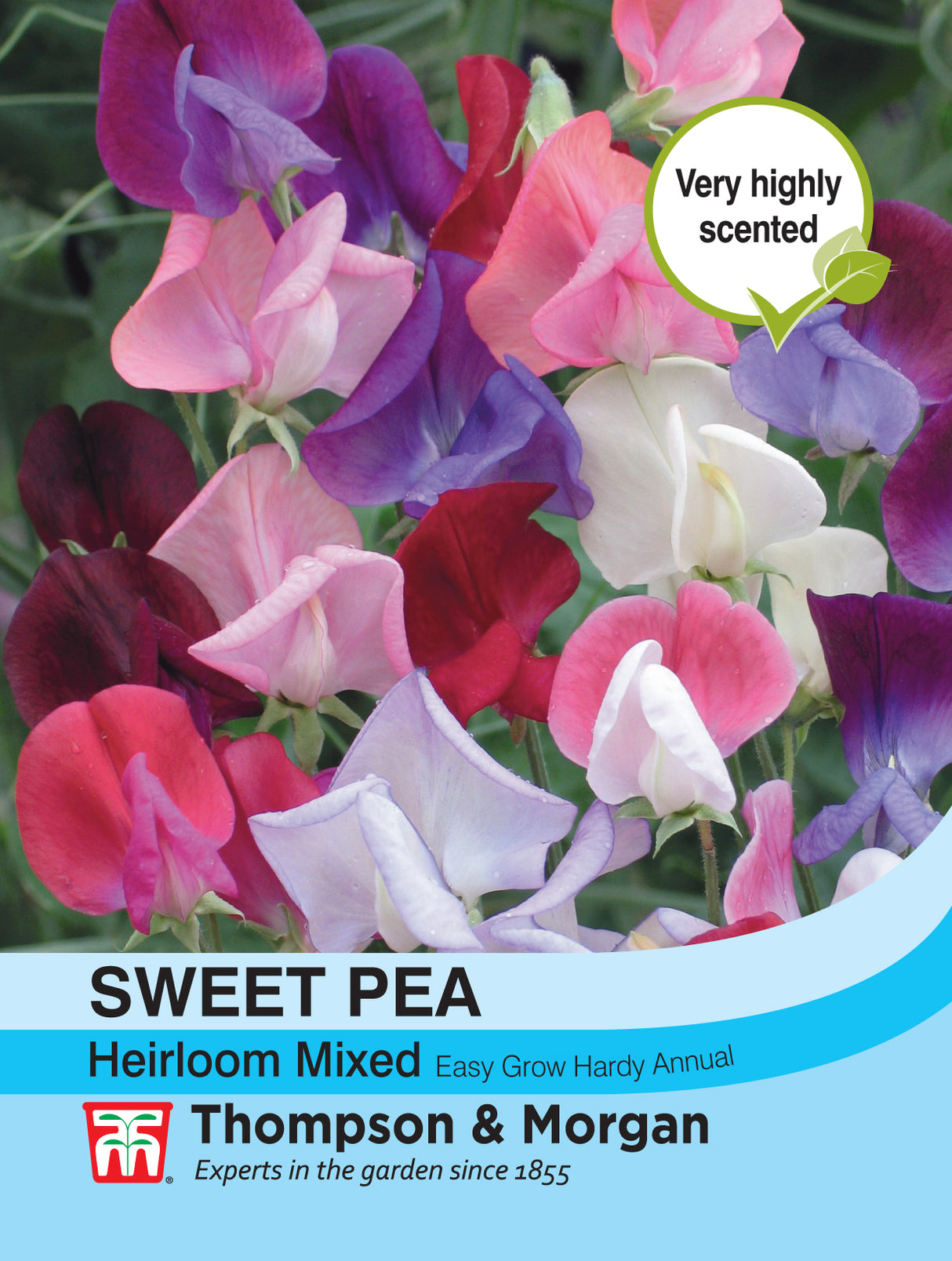 Thompson & Morgan - Sweet Pea Heirloom Mix Seeds