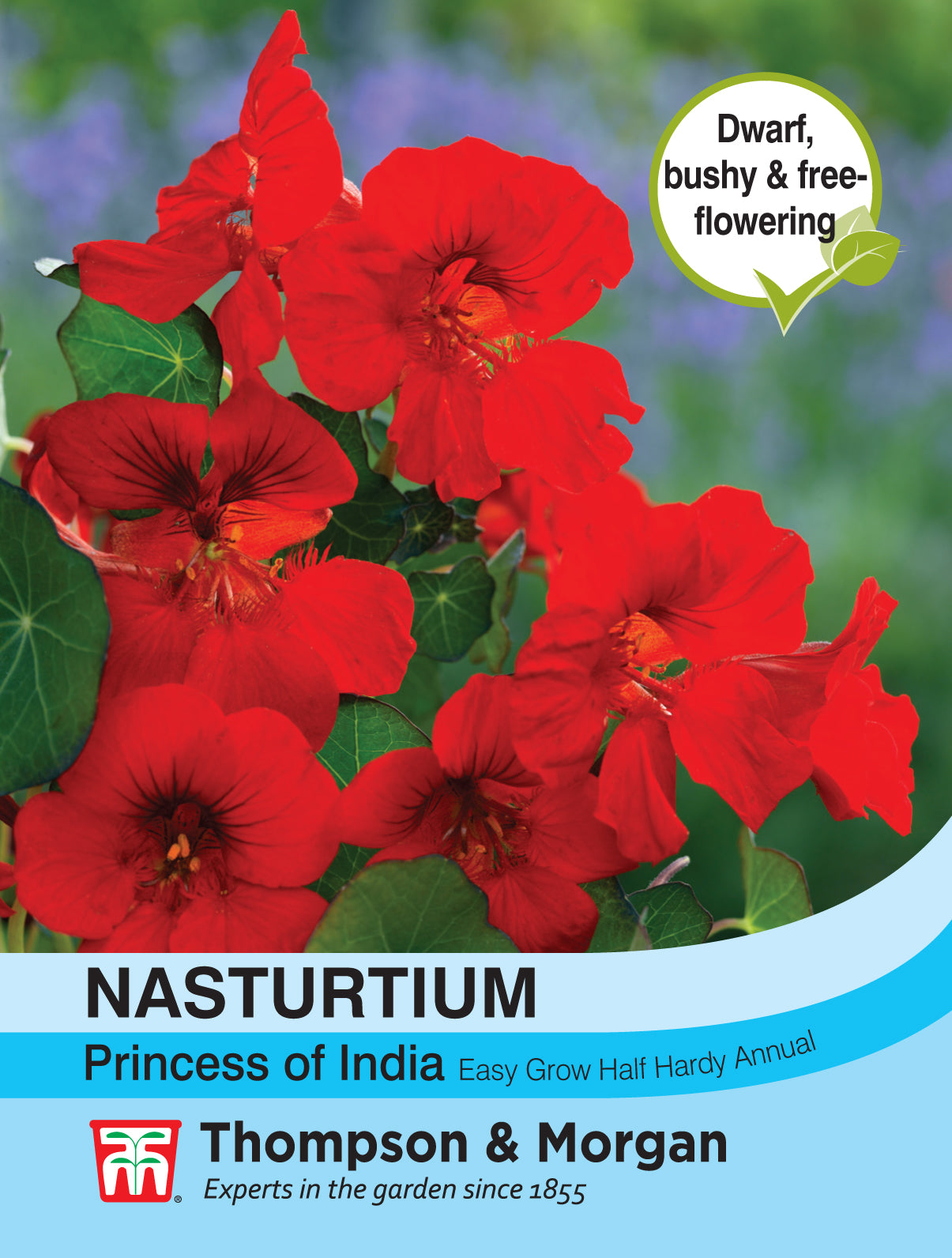Thompson & Morgan - Nasturtium Princess of India Seeds