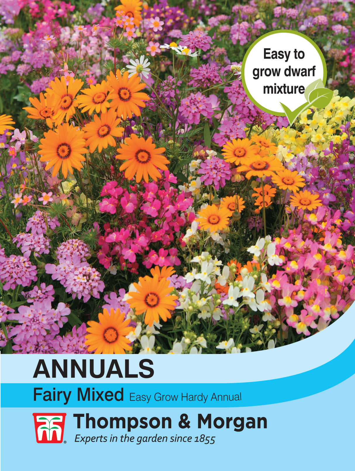 Thompson & Morgan - Easy Annuals Fairy Mixed Seeds