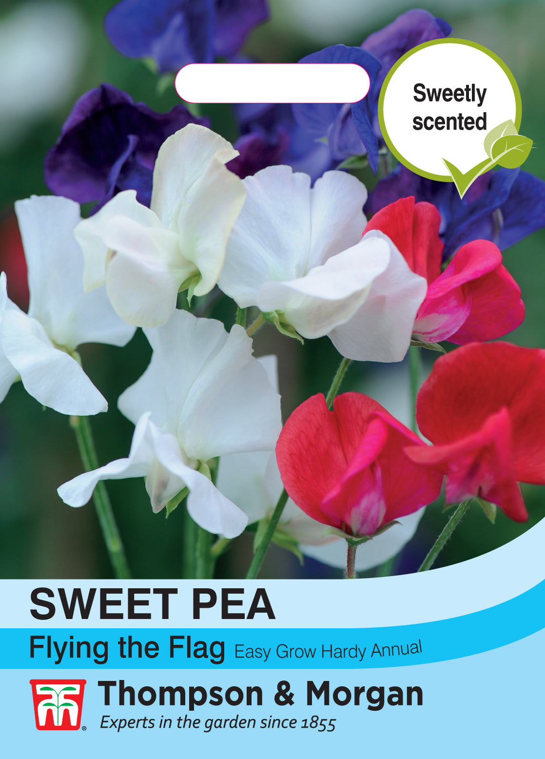 Thompson & Morgan - Sweet Pea Tricolor Seeds
