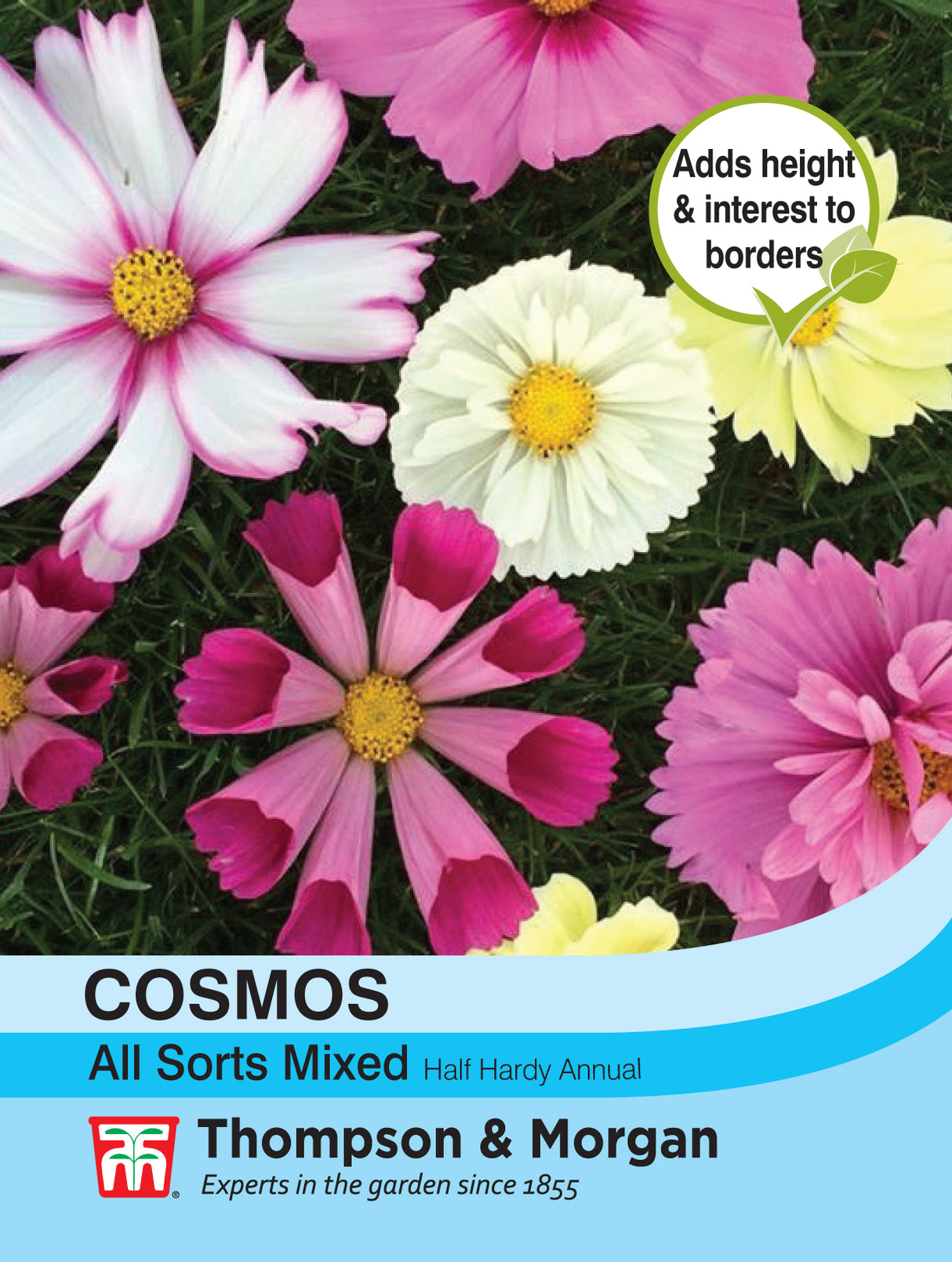 Thompson & Morgan - Cosmos All Sorts Mixed Seeds