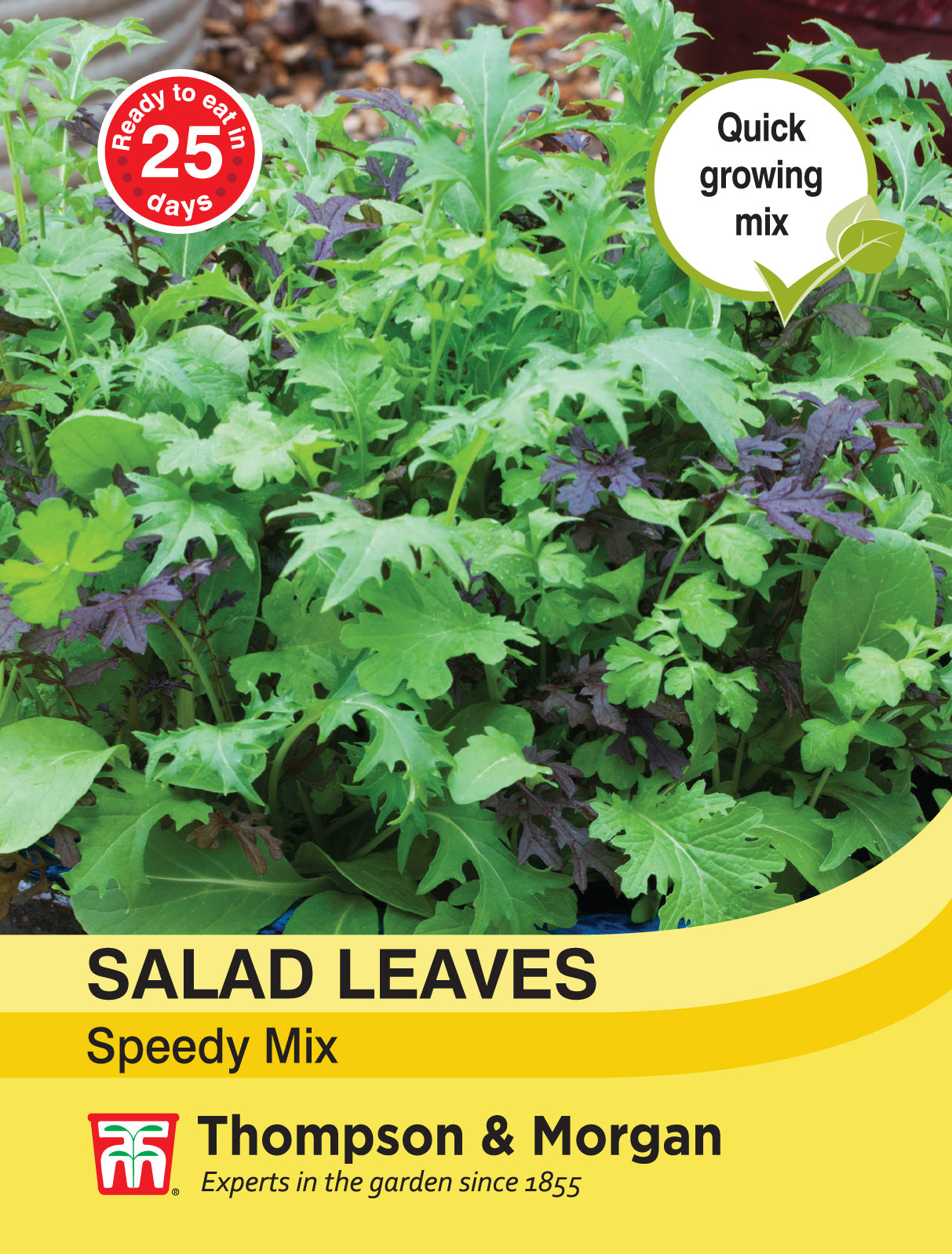 Thompson & Morgan - Salad Leaves- Speedy Mix Seeds