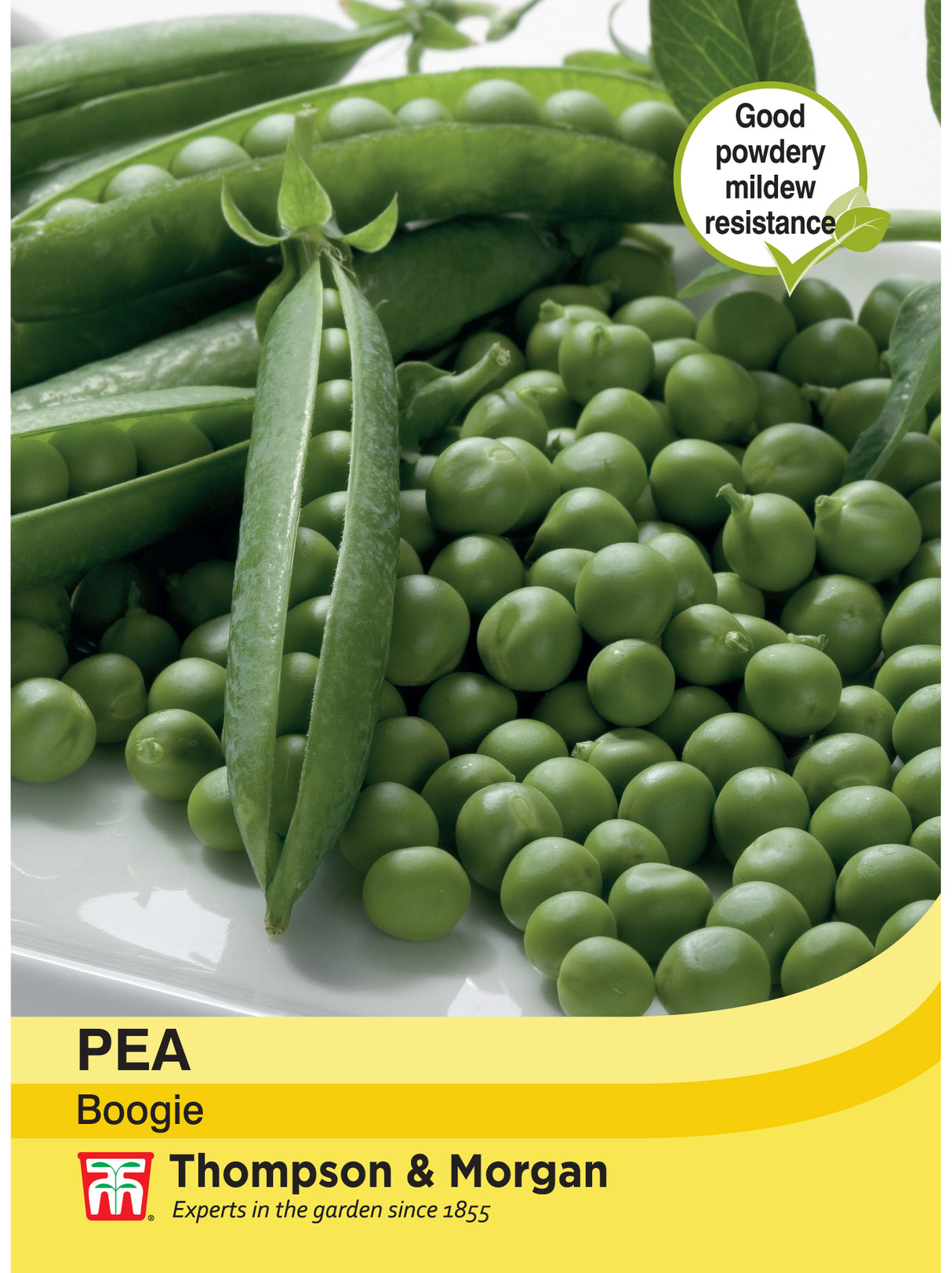 Thompson & Morgan - Pea Boogie Seeds