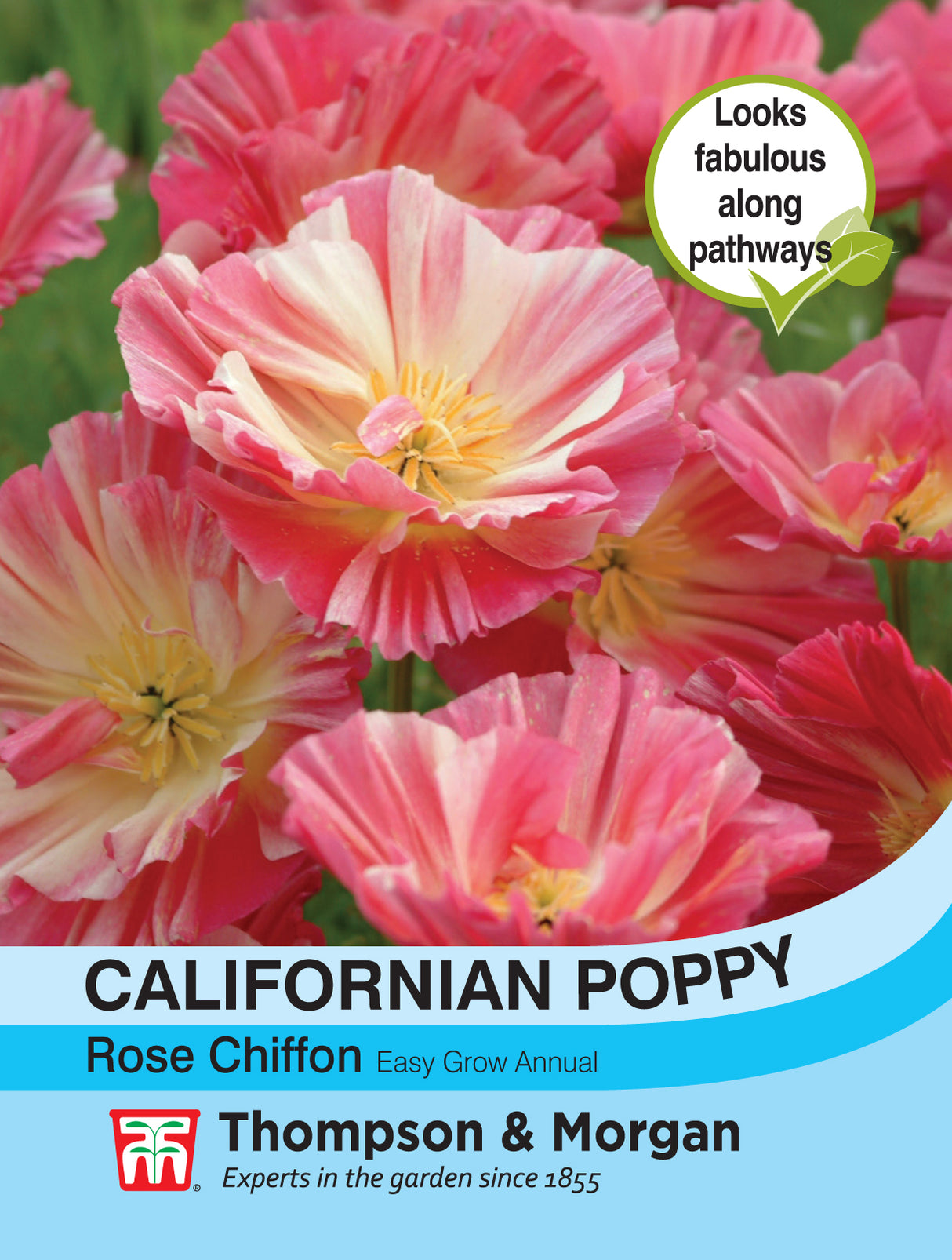 Thompson & Morgan - Californian Poppy Rose Chiffon Seeds