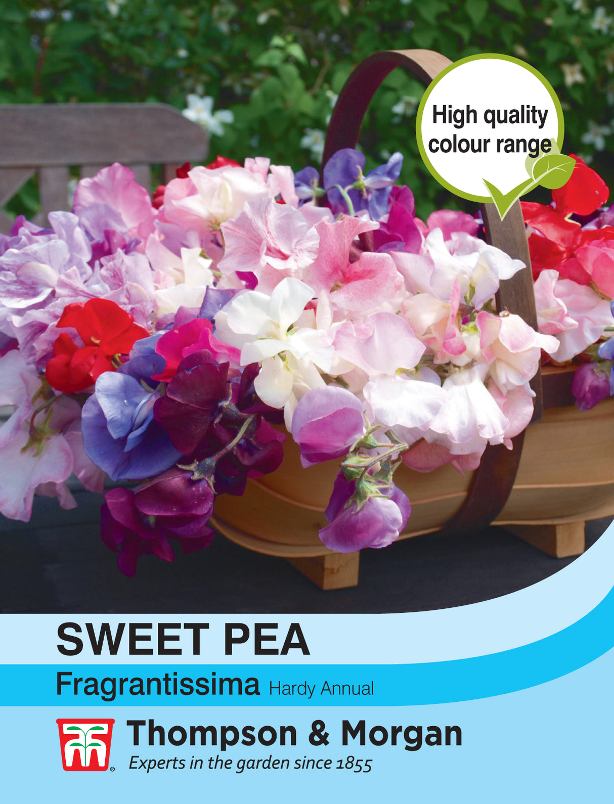 Thompson & Morgan - Sweet Pea Fragrantissima Seeds