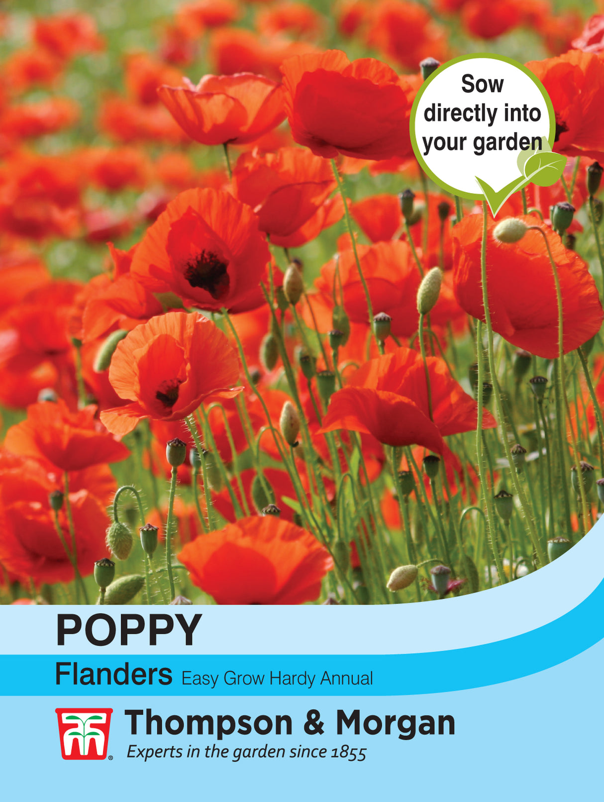 Thompson & Morgan - Poppy Flanders Seeds