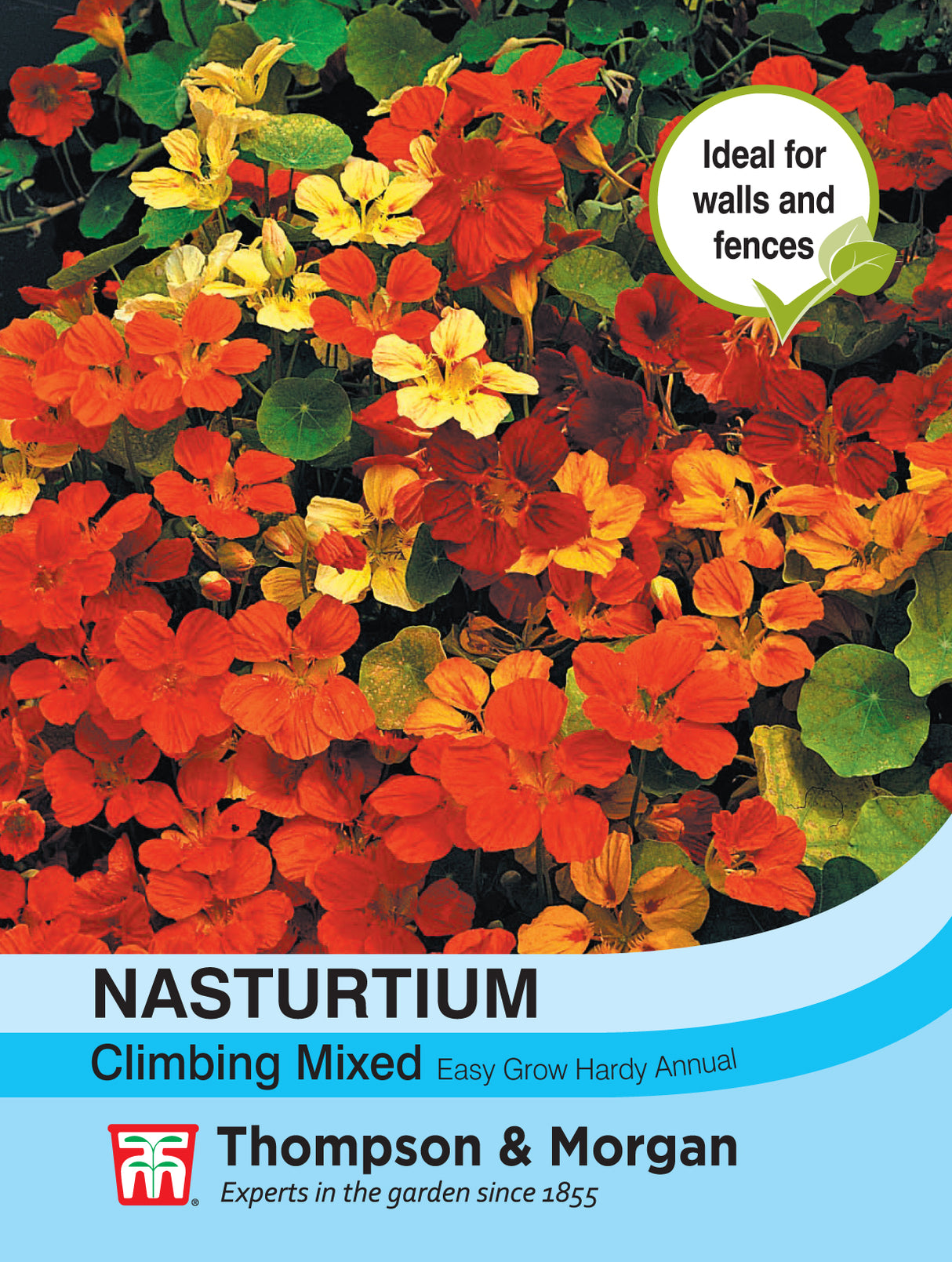 Thompson & Morgan - Nasturtium Climbing Mixed Seeds