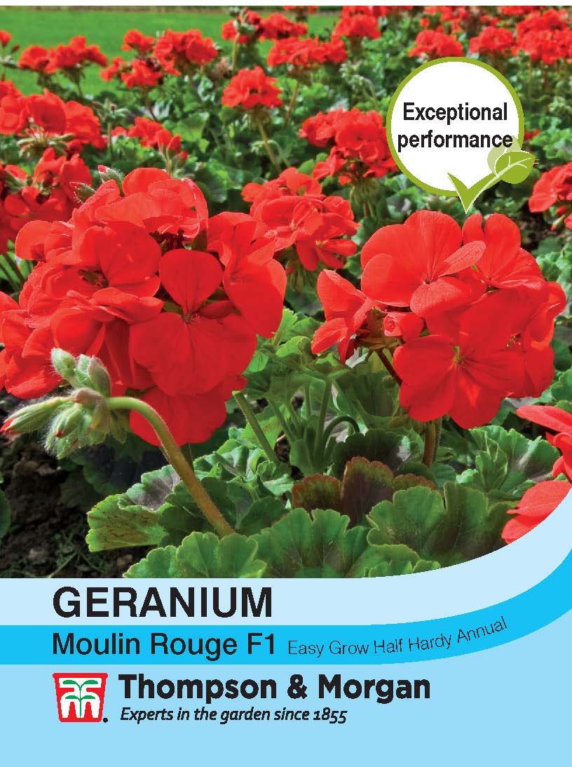 Thompson & Morgan - Geranium Moulin Rouge Seeds