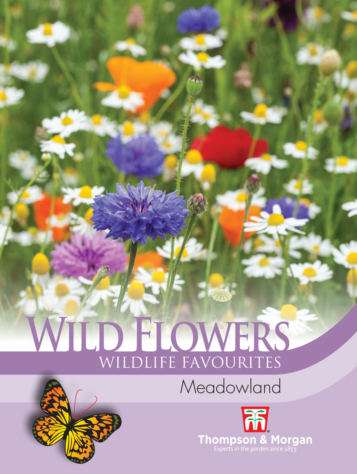 Thompson & Morgan - Wild Flower Meadowland Seeds