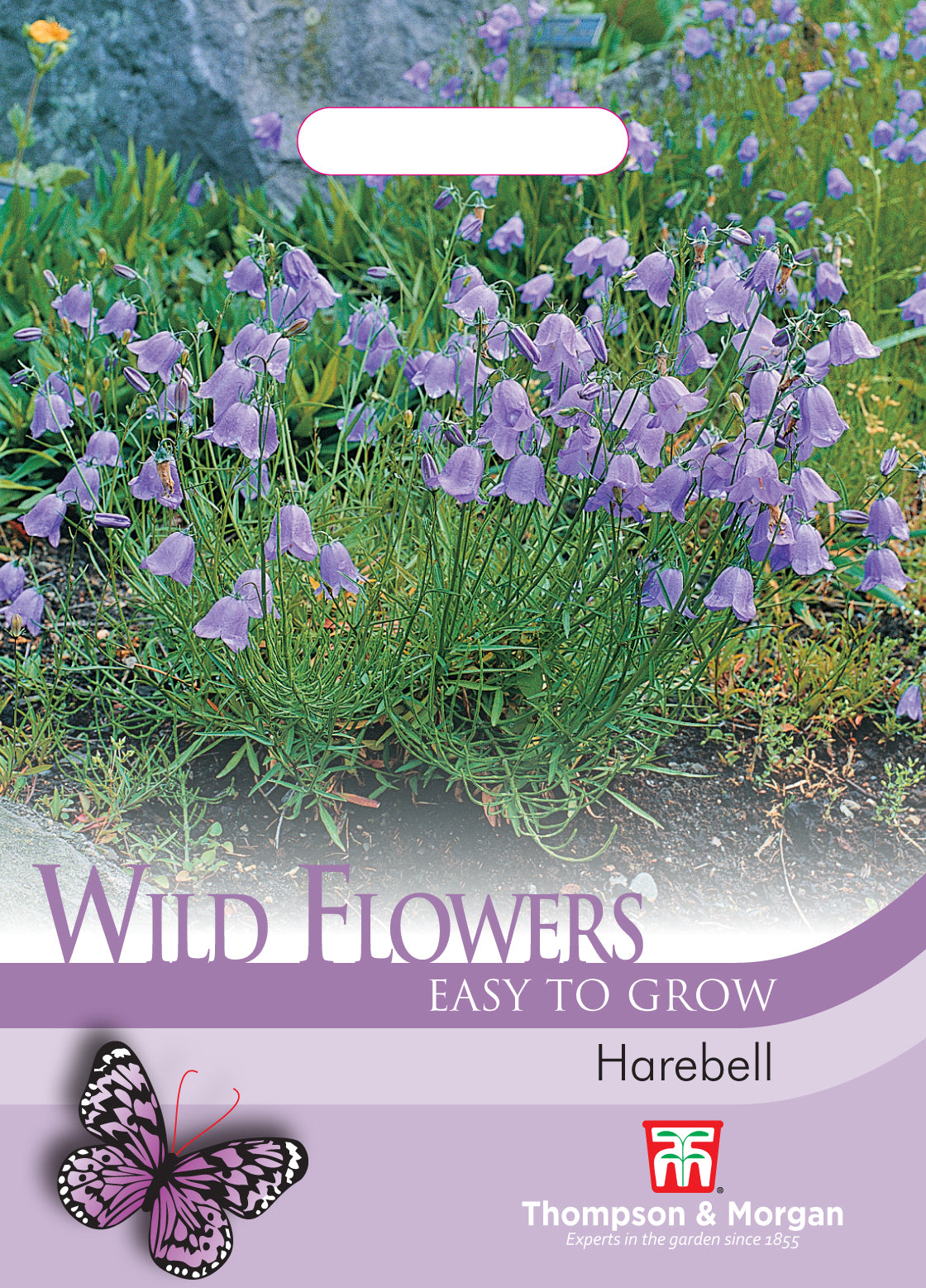 Thompson & Morgan - Wild Flower Harebell Seeds
