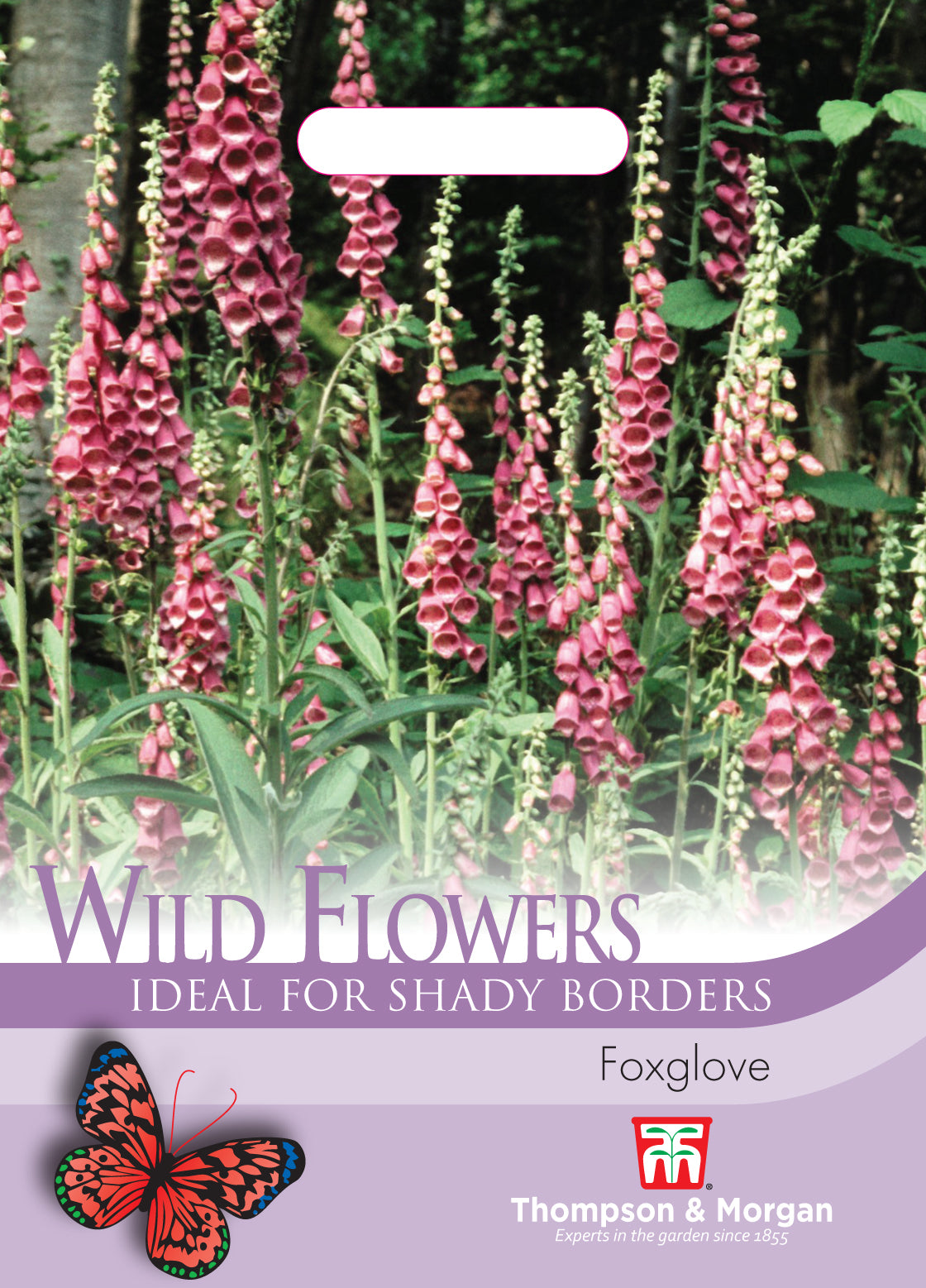 Thompson & Morgan - Wildflower Foxglove Seeds