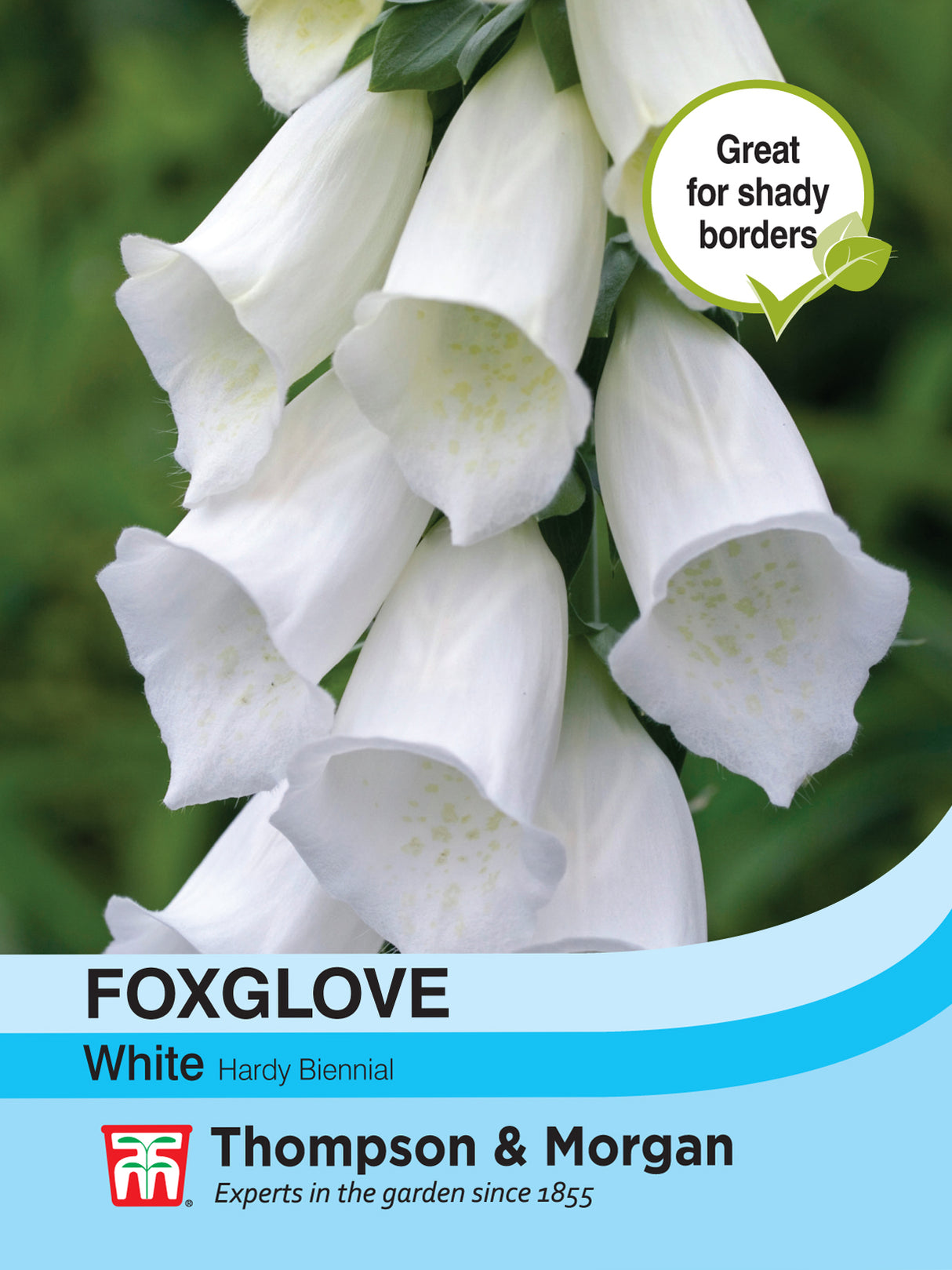 Thompson & Morgan - Foxglove White Seeds