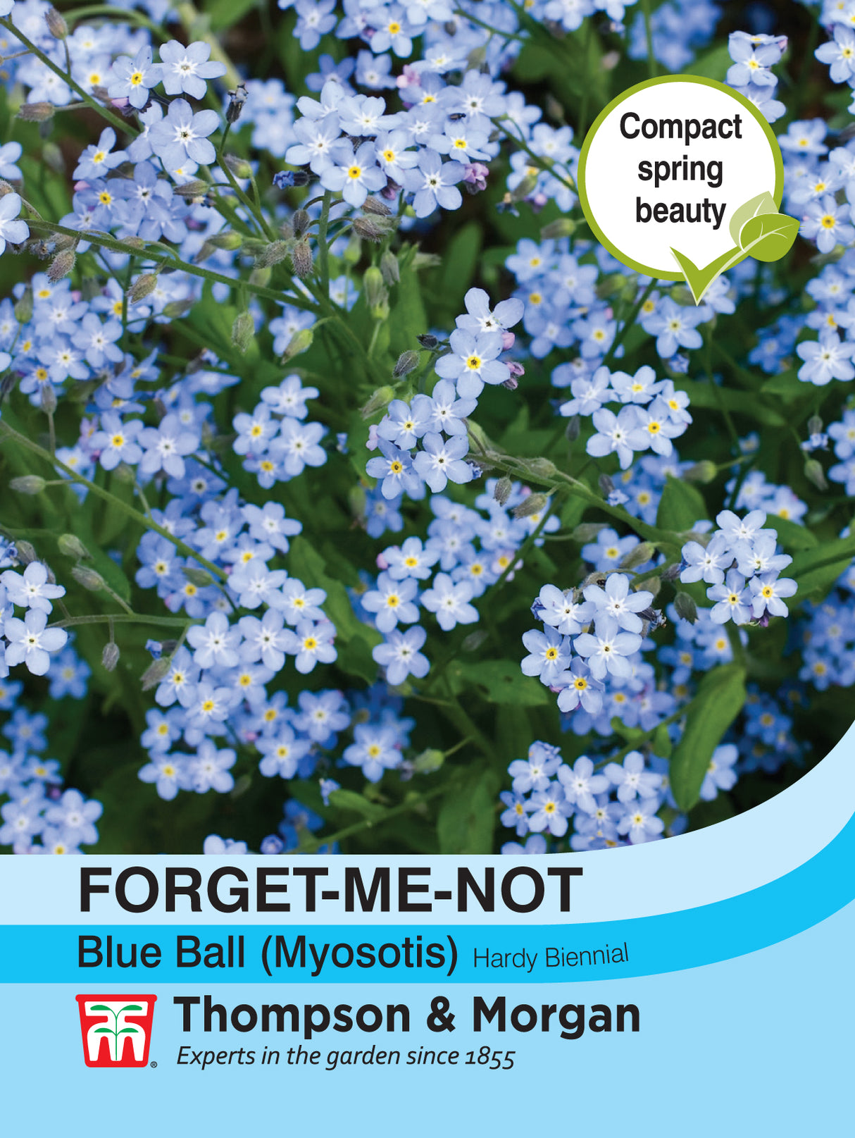 Thompson & Morgan - Forget-me-not Blue Ball (Myosotis) Seeds