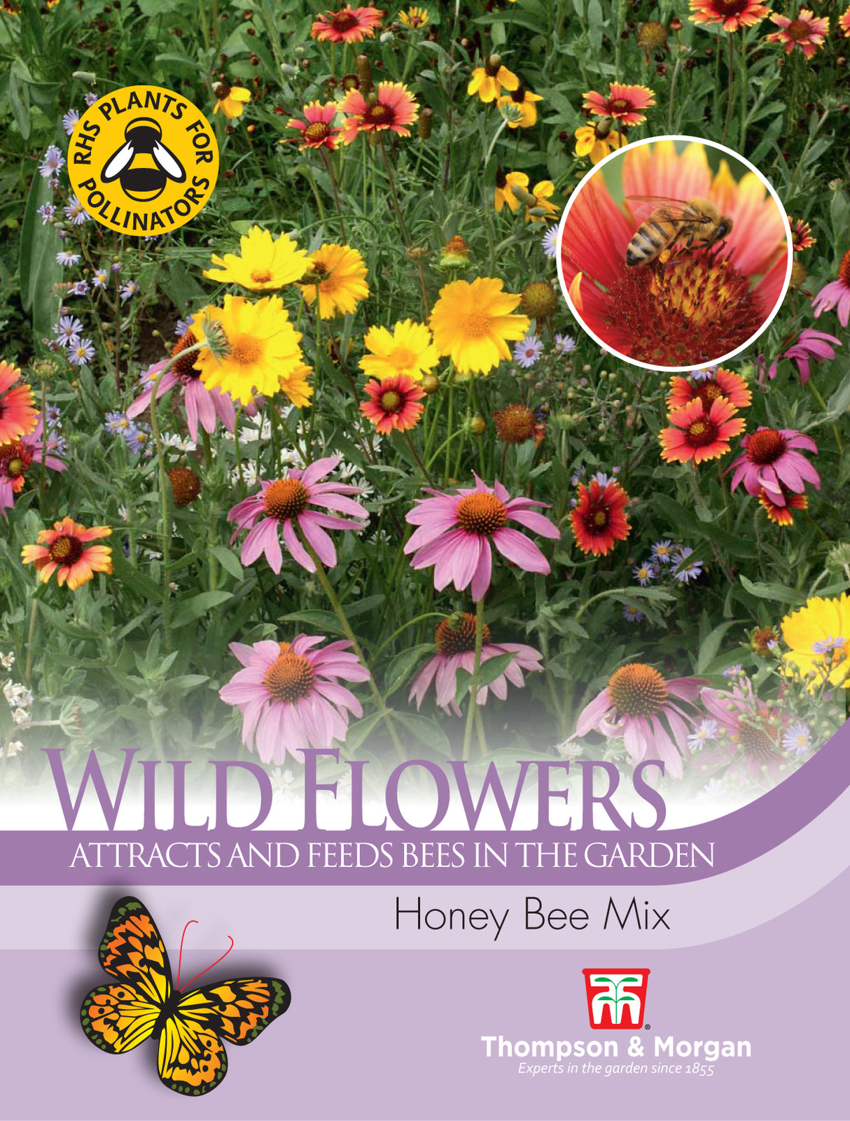 Thompson & Morgan - Wildflower Honey Bee Flower Mix Seeds