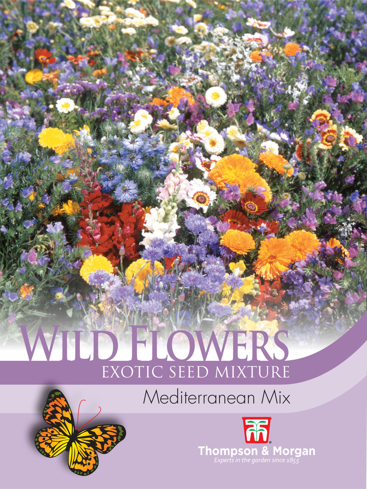 Thompson & Morgan - Wild flower Mediterranean Mix seeds