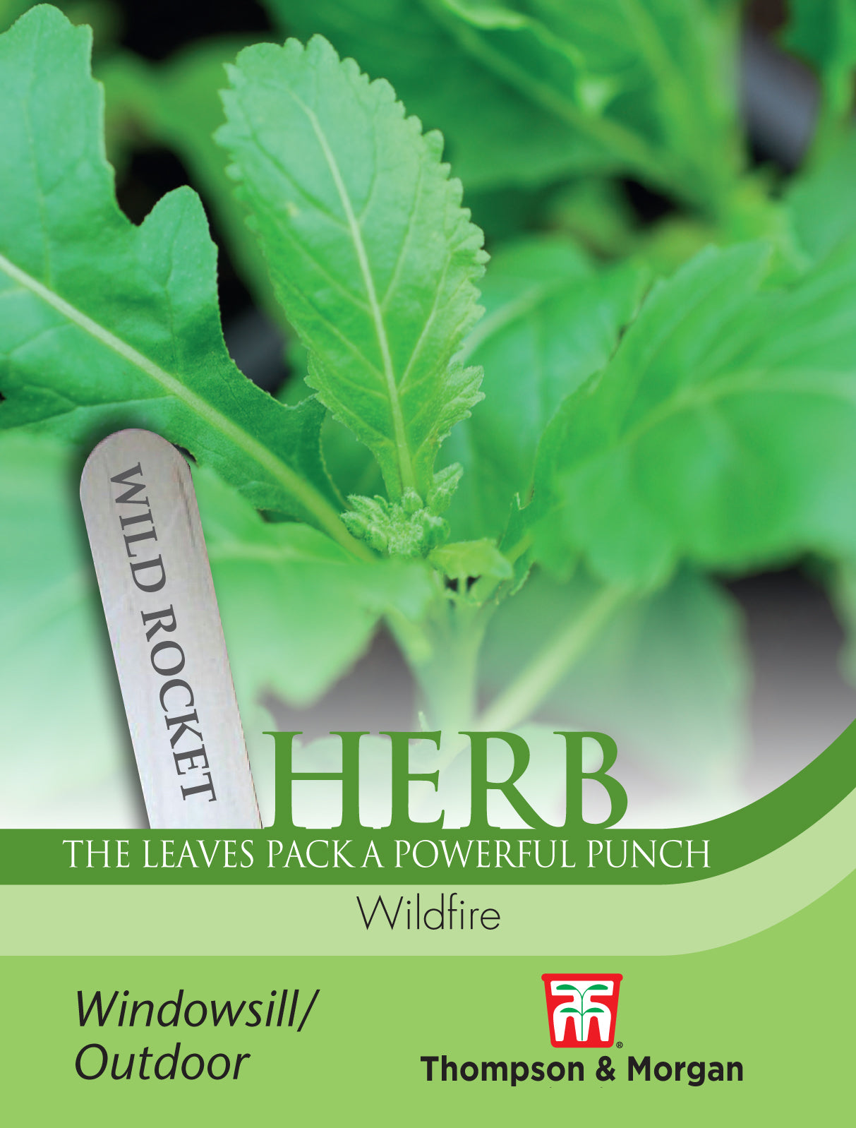 Thompson & Morgan - Herb Wild Rocket Wildfire Seeds