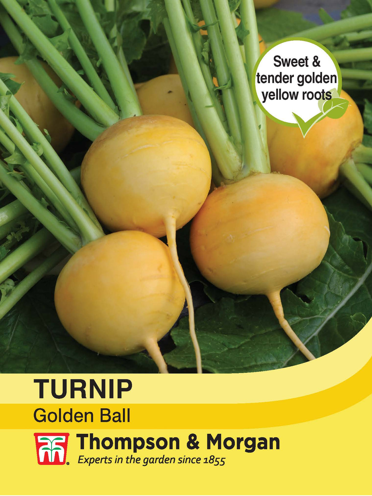 Thompson & Morgan - Turnip Golden Ball Seeds