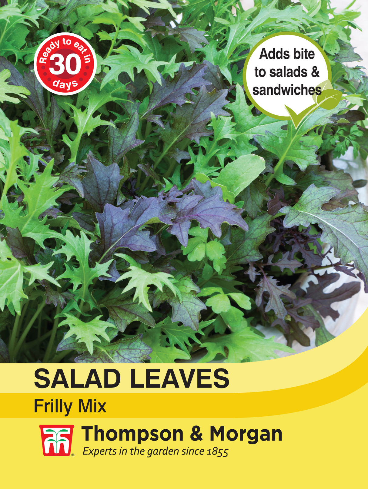 Thompson & Morgan - Salad Leaves - Frilly Mix Seeds