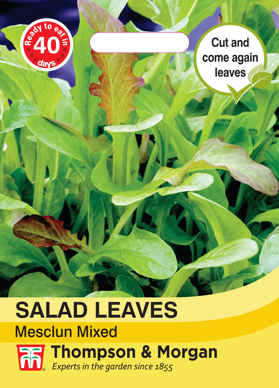 Thompson & Morgan - Salad Leaves - Mesclun Mixed Seed