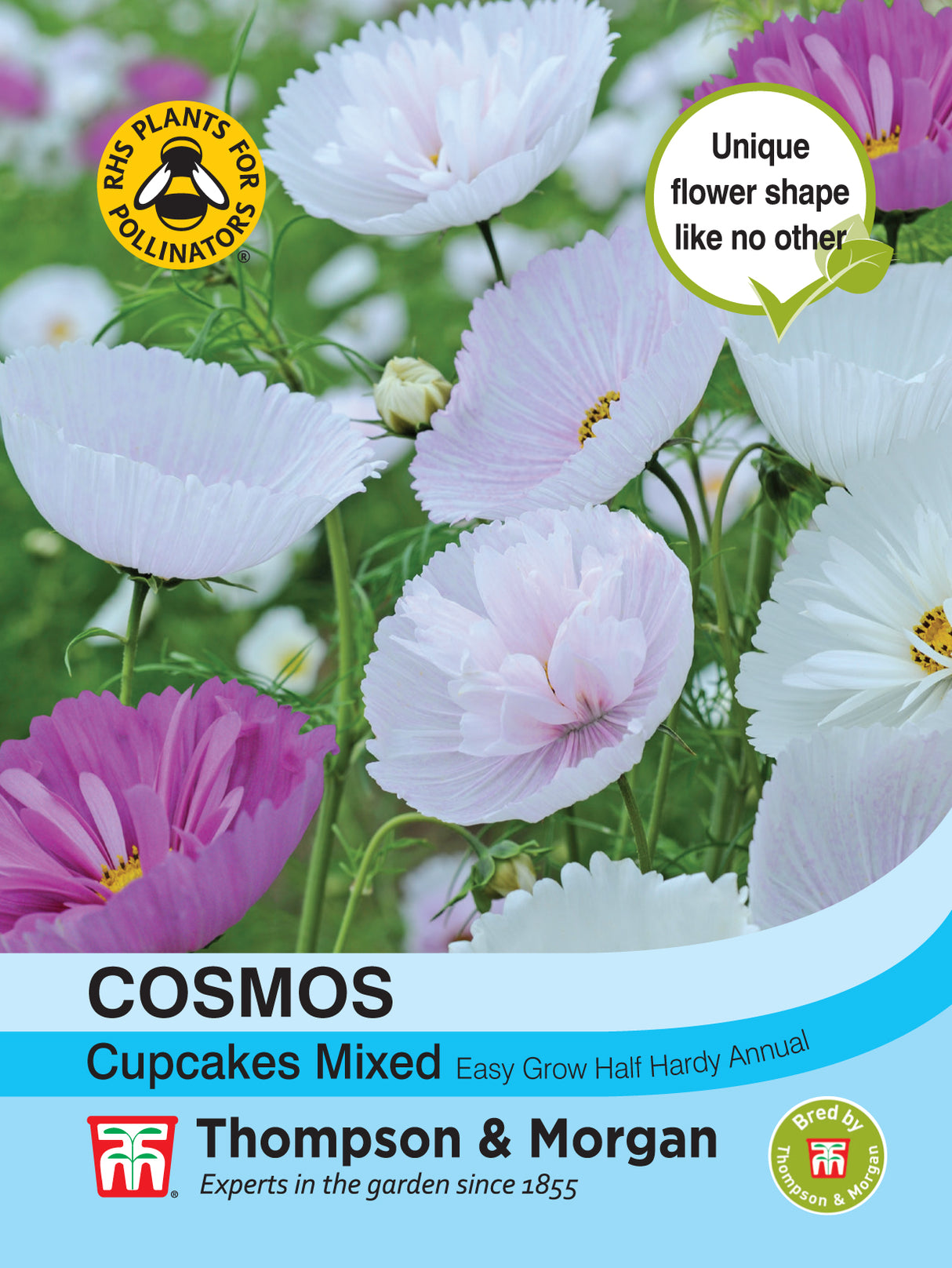 Thompson & Morgan - Cosmos Cupcakes - Mixed Seeds