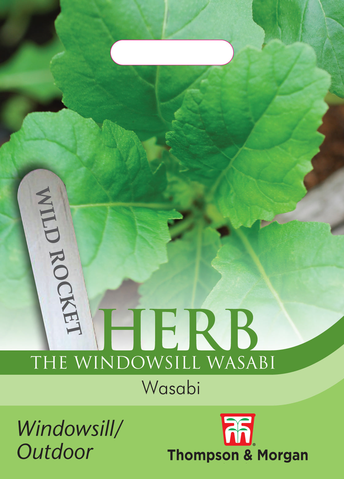 Thompson & Morgan - Herb Wild Rocket Wasabi Seeds