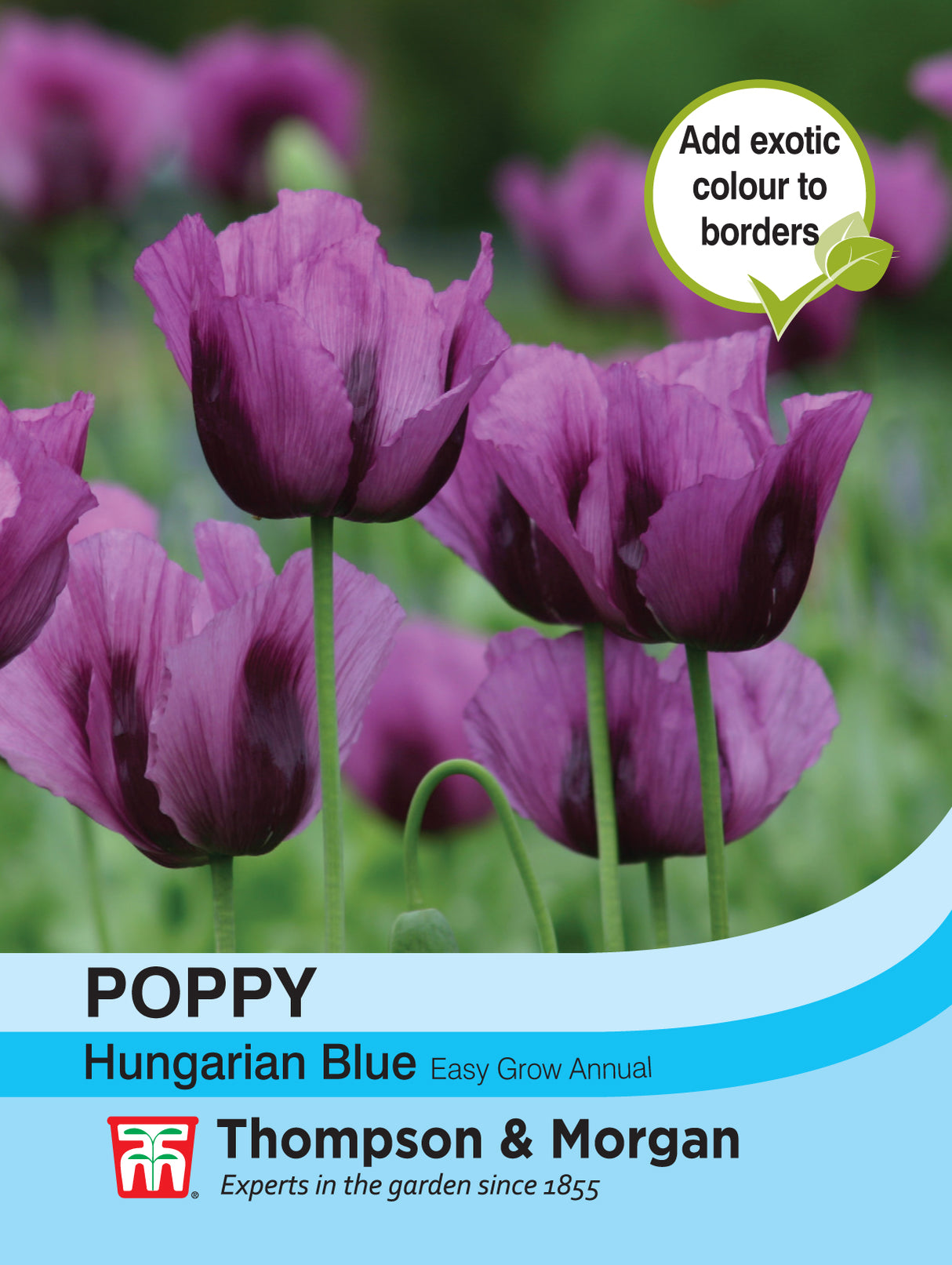 Thompson & Morgan - Poppy Hungarian Blue Seeds