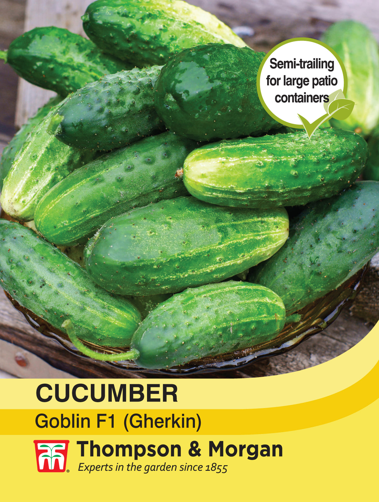 Thompson & Morgan - Cucumber Goblin F1 Hybrid (Gherkin) Seeds