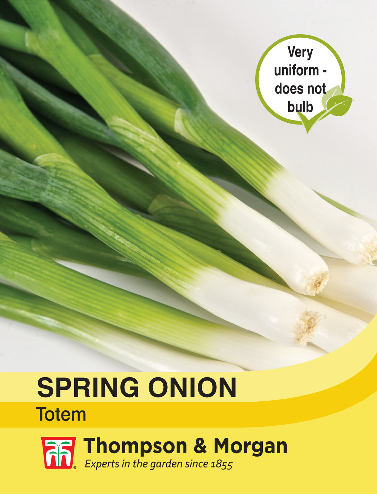 Thompson & Morgan - Spring Onion Totem Seeds