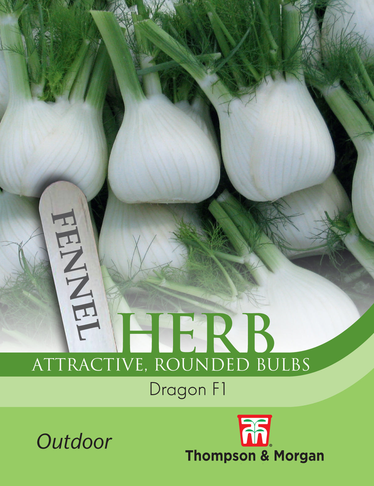 Thompson & Morgan - Herb Fennel Dragon F1 Hybrid Seeds